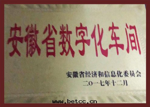 安(ān)徽省(shěng)數字(zì)化(huà)車間(jiān)